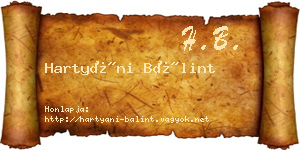 Hartyáni Bálint névjegykártya
